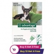 Buy Advantage for Dogs at BestVetCare � Fast  Effective Flea Protection!